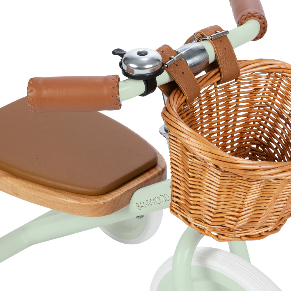 Banwood Trike- Mint
