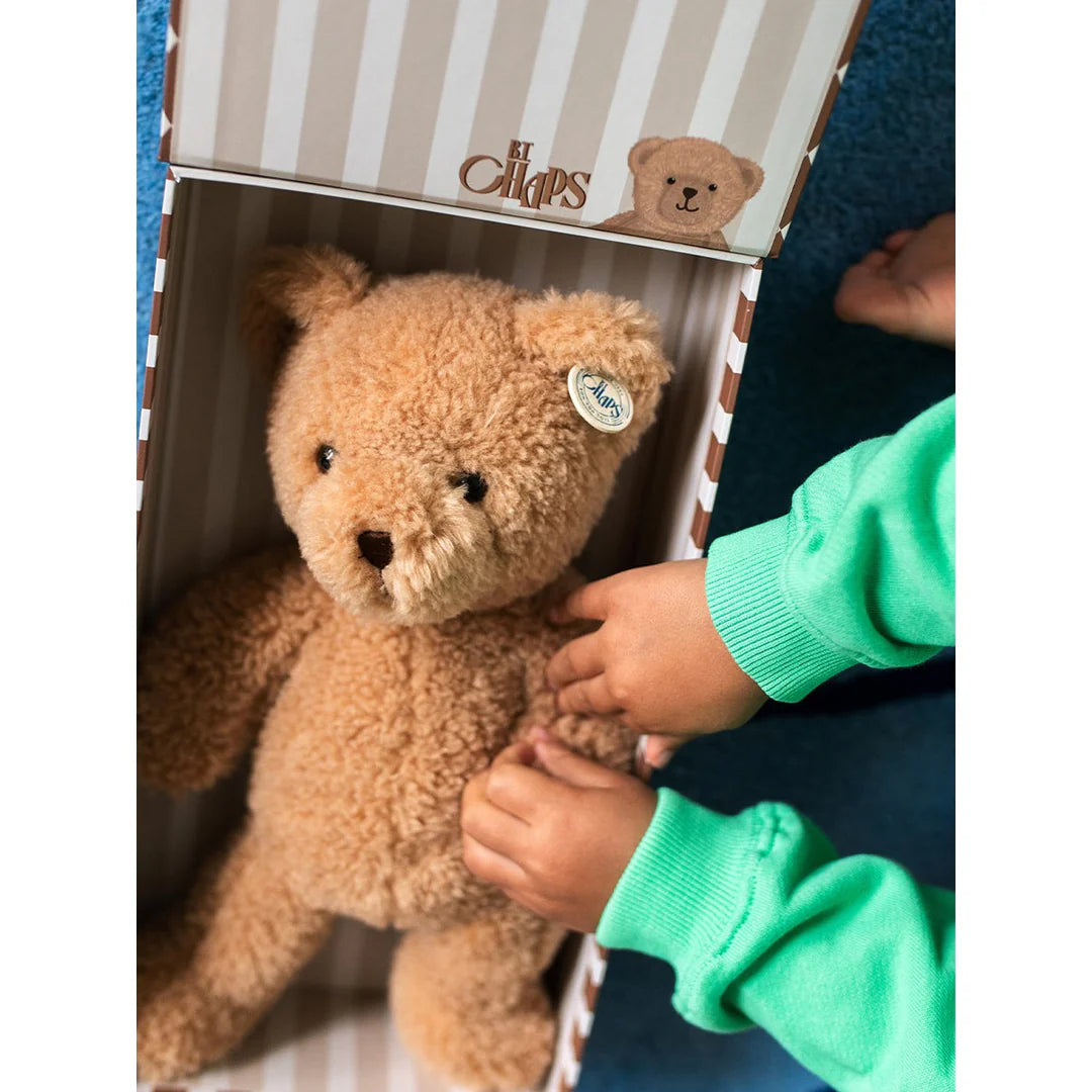 BT Chaps Gus the Homie Bear in Giftbox 25cm
