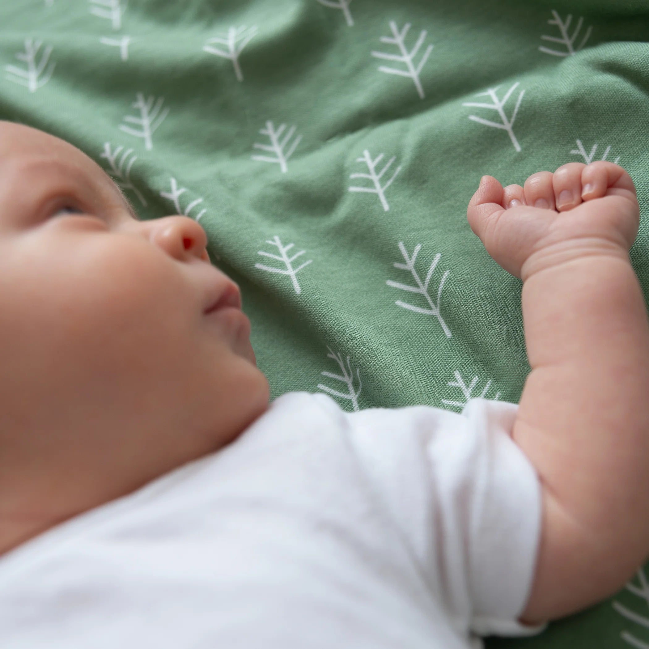 Bubba Blue Nordic 2pk Jersey Wrap Avocado/Forest