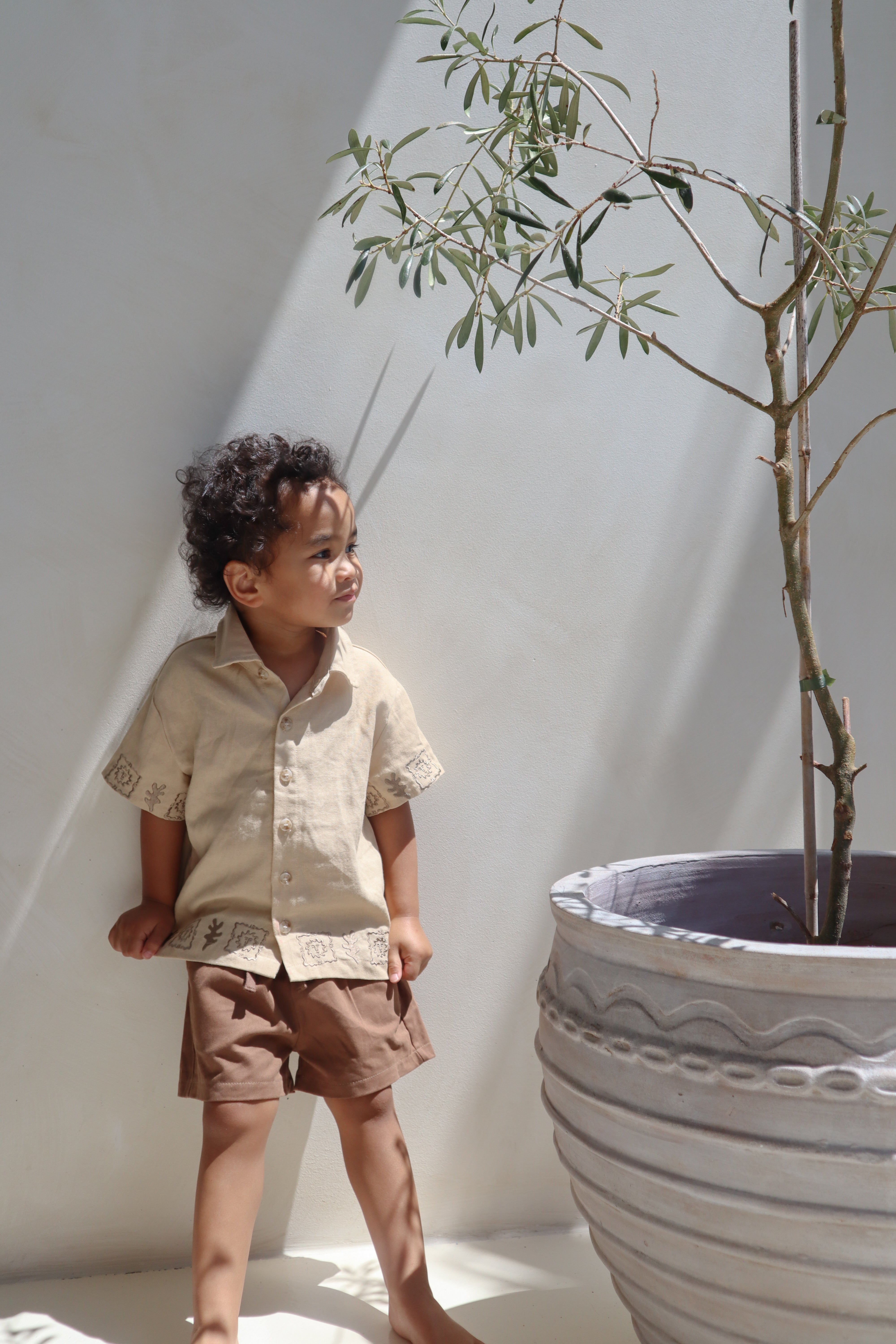 Ziggy Lou Canvas Shorts - Sorrento