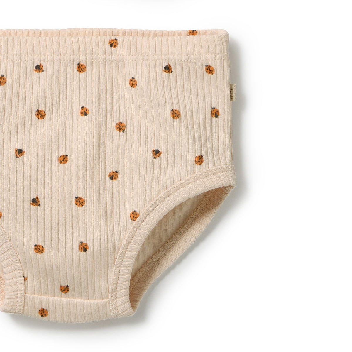 Wilson & Frenchy Little Lady Bugs Organic Dress Set