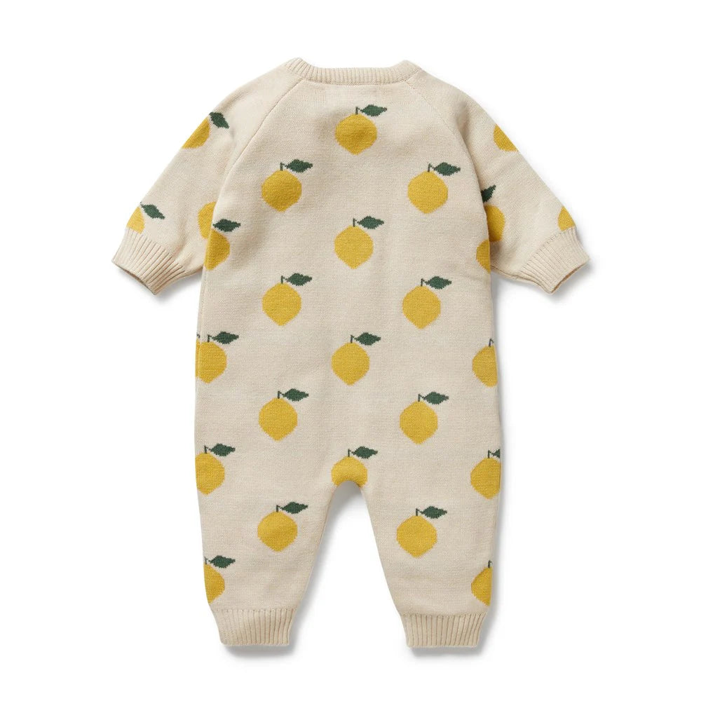 Wilson & Frenchy Lemony Organic Knitted Jacquard Growsuit