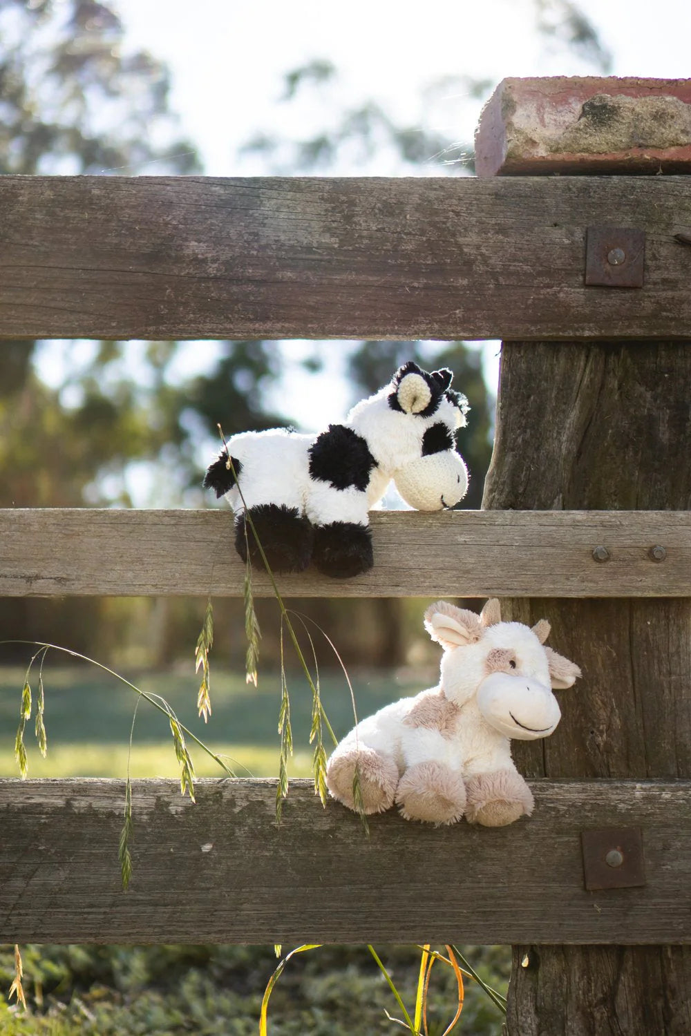 Nana Huchy Coco The Cow-Black