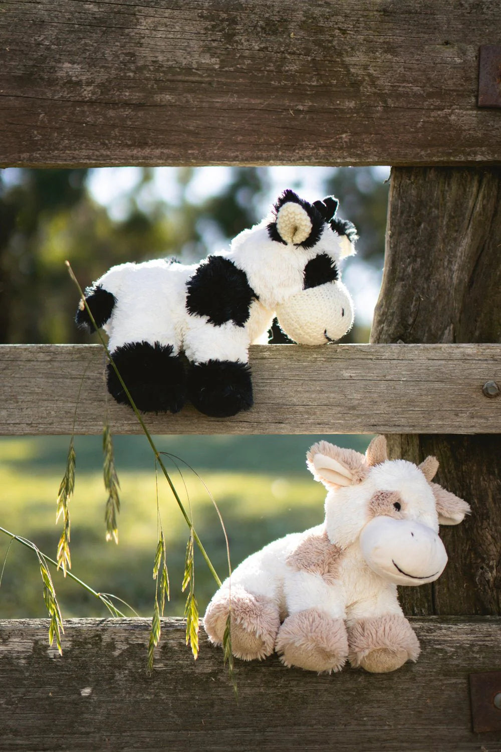 Nana Huchy Coco the Cow