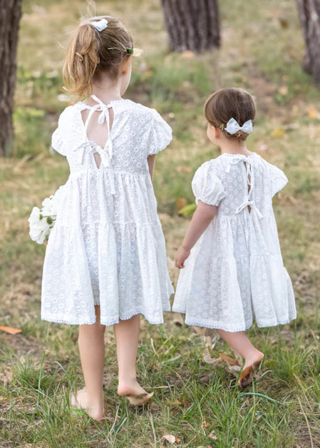 Rai & Co Eliza Embroidered Lace Dress