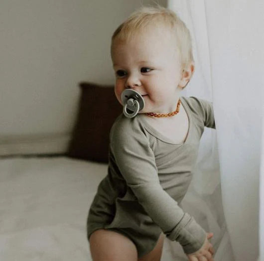 Bibs Dummies Colour Size 3 Round | 18mths+ | 2 Pack