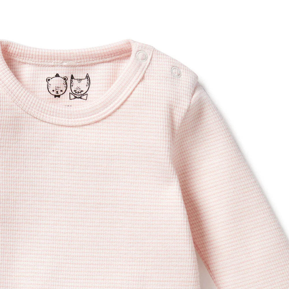 Wilson & Frenchy Organic Stripe Long Sleeved Rib Bodysuit - Cantaloupe