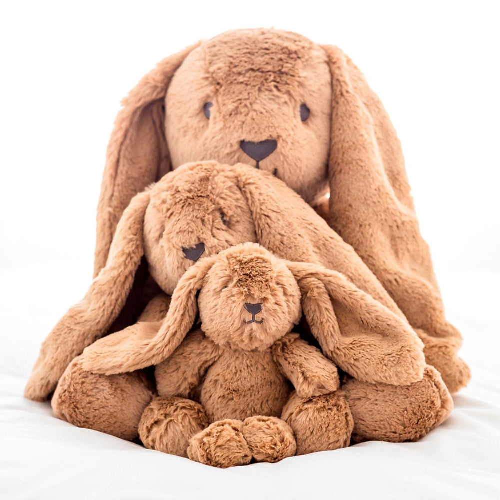 Little Bailey Bunny Soft Toy