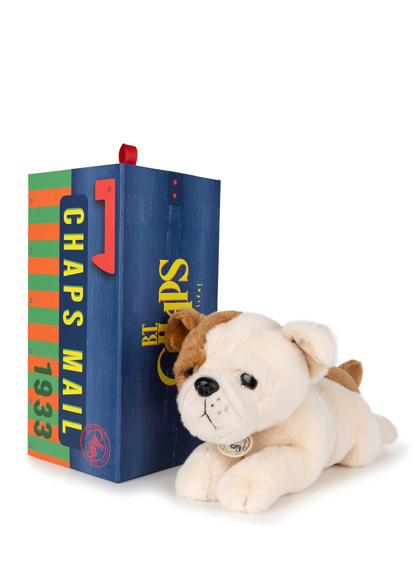 BT Chaps Bertha the American Bulldog in Giftbox