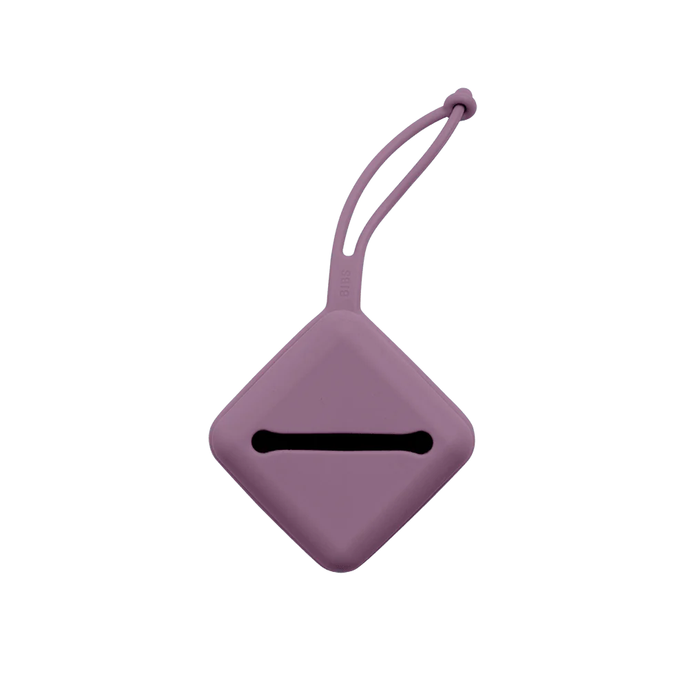 Bibs Pacifier Soft Case Mauve