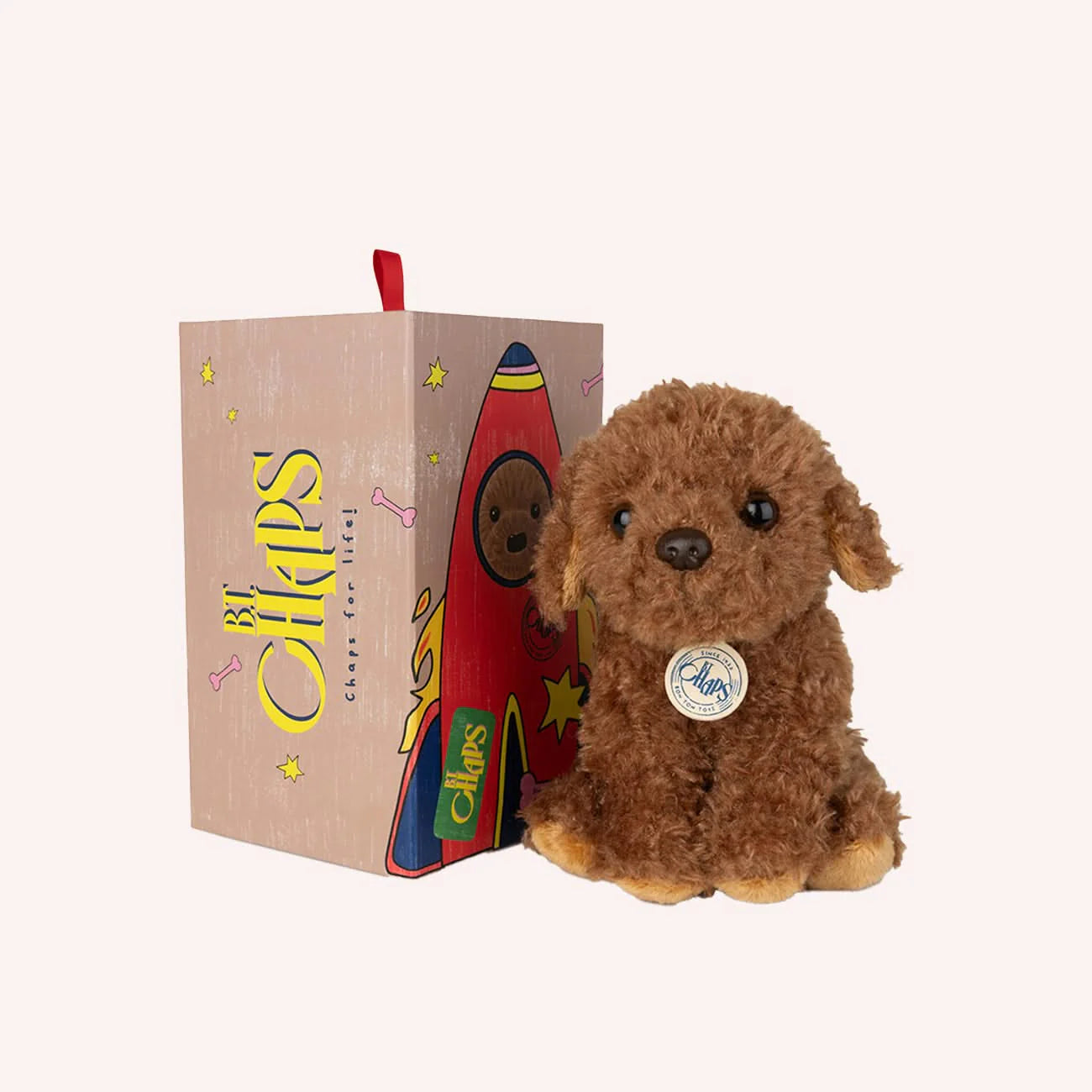 BT Chaps Stacey the labradodle
