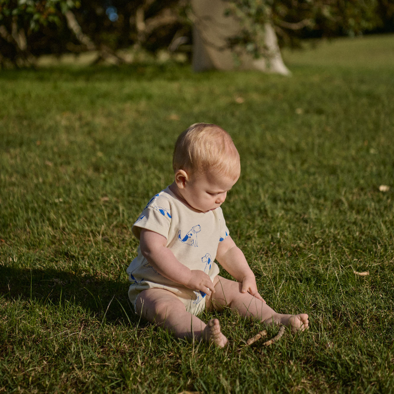 Nature Baby Short Sleeve Bodysuit- Dog Walk Print