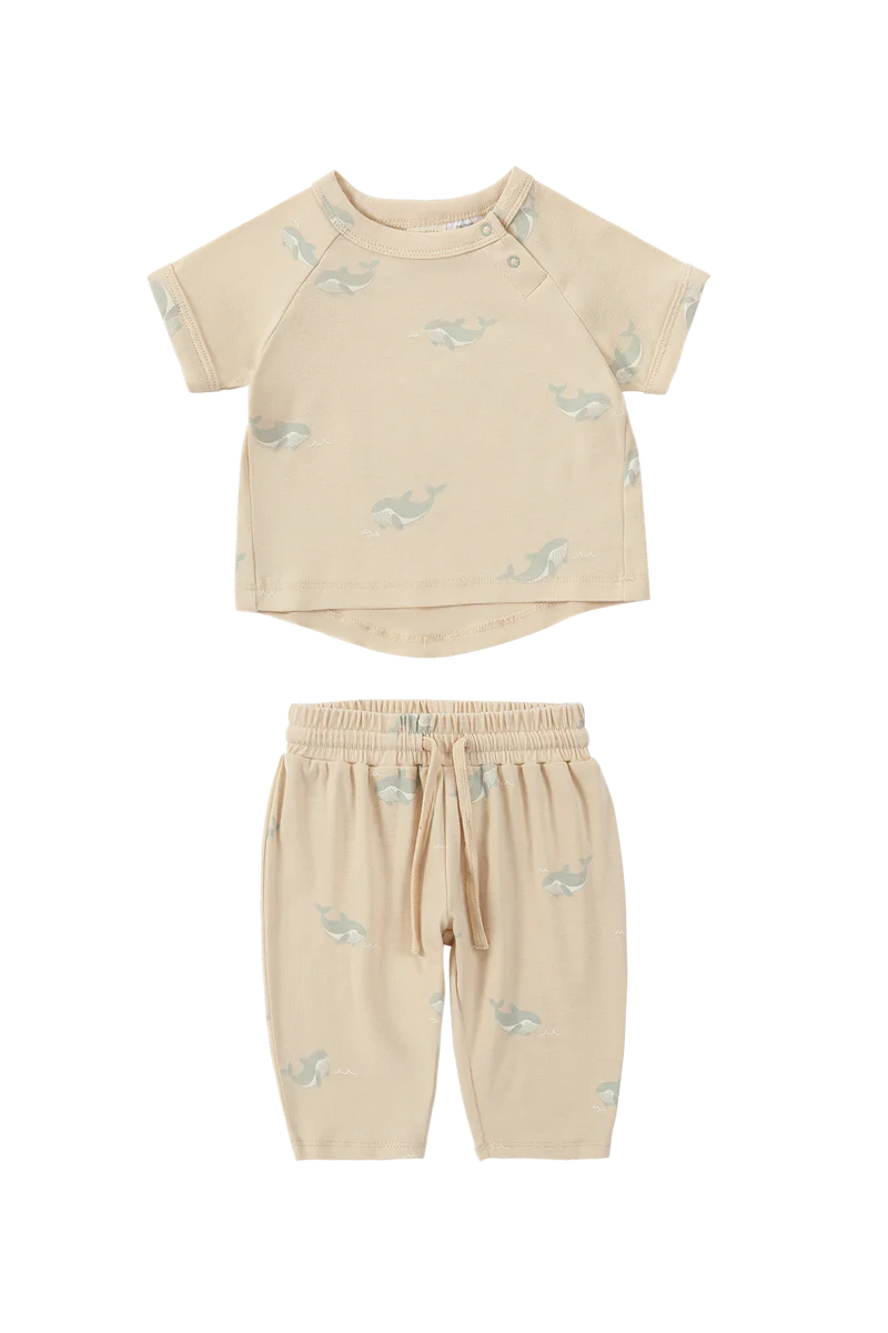 Susukoshi  Boxy Tee x Summer Pant Set- Whale
