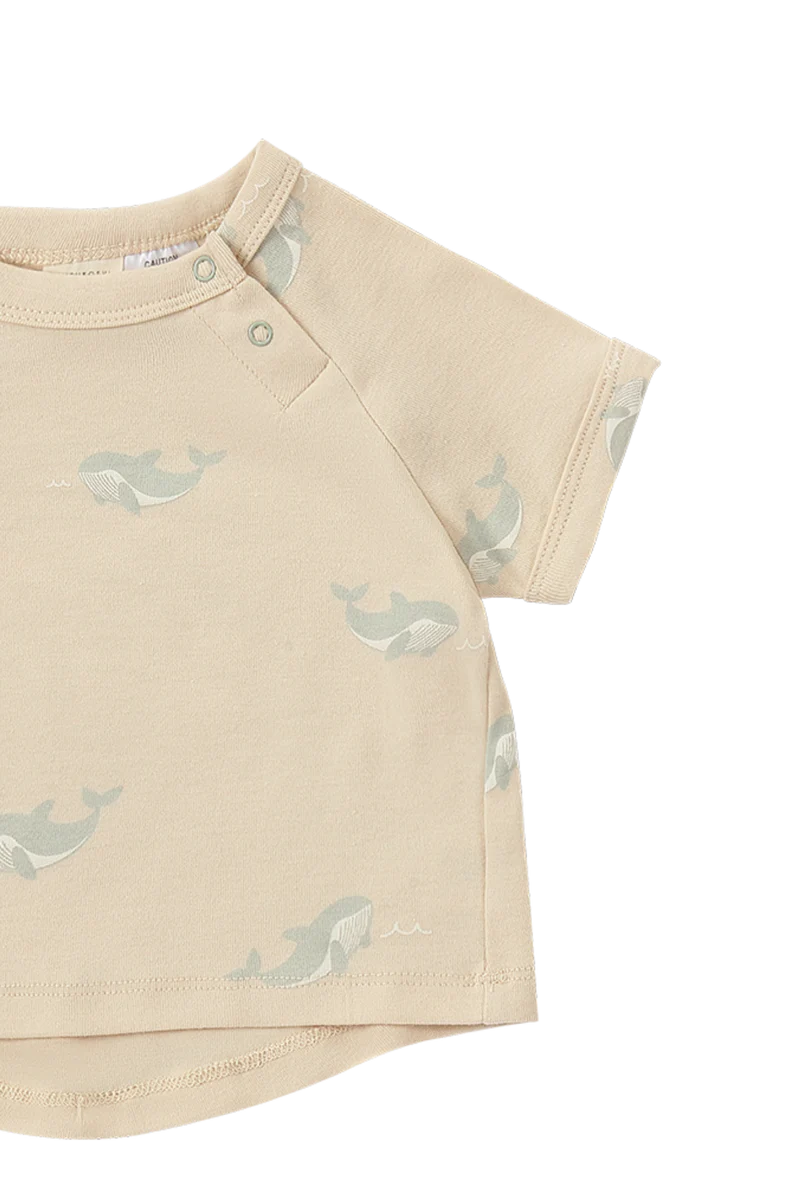 Susukoshi  Boxy Tee x Summer Pant Set- Whale