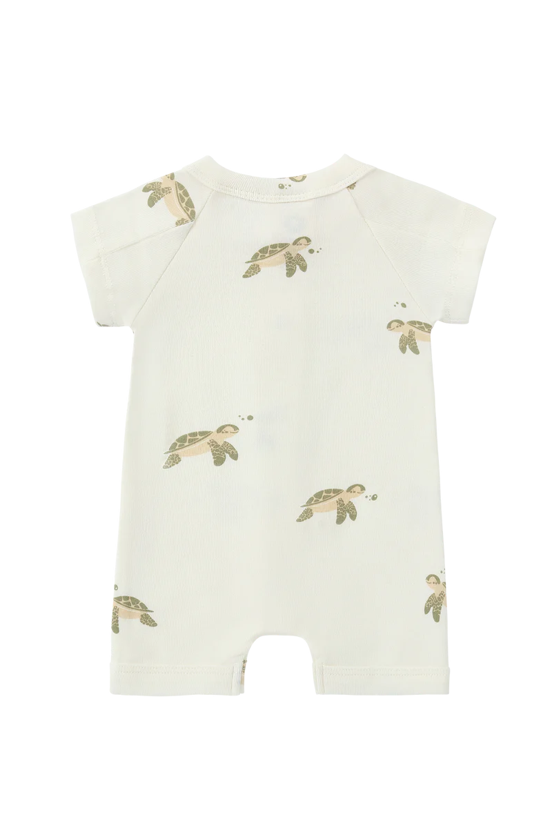 Susukoshi Snap Suit Short Sleeve- Turtle
