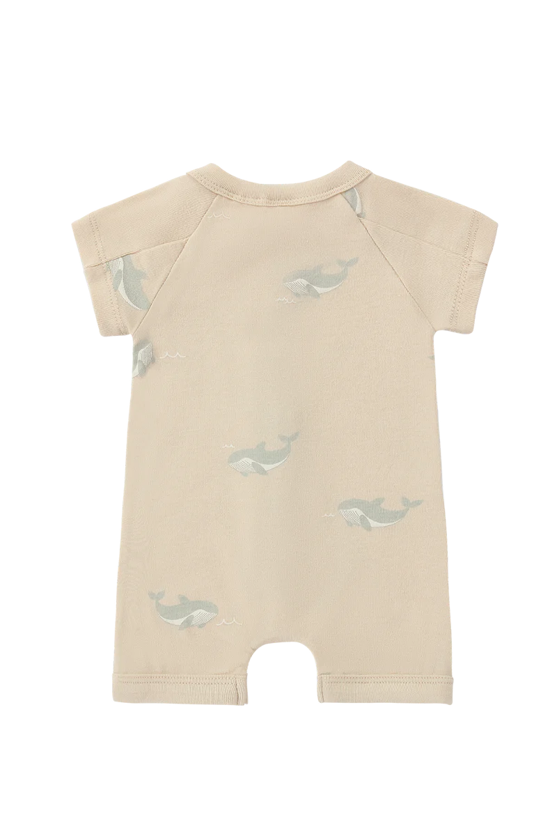 Susukoshi Snapsuit Short Sleeve Rib- Whale
