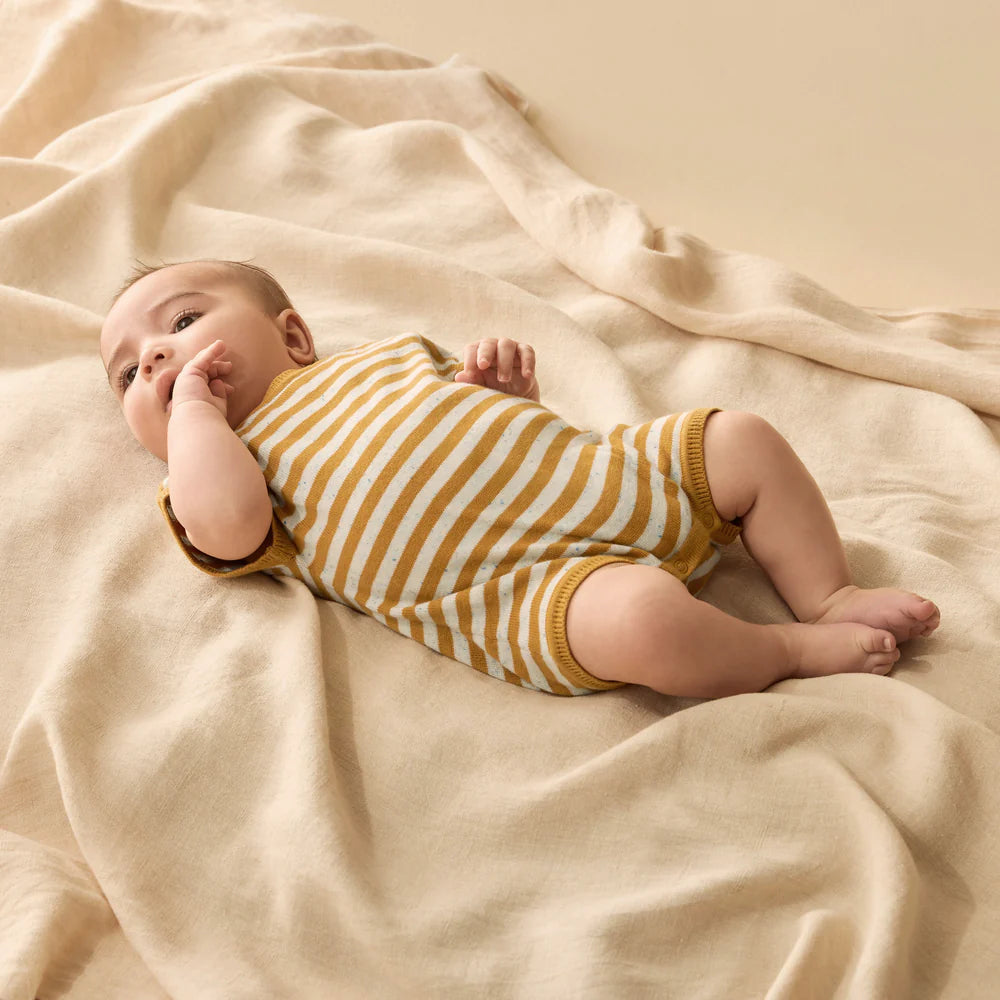 Wilson & Frenchy Golden Wave Stripe Organic Knitted Growsuit