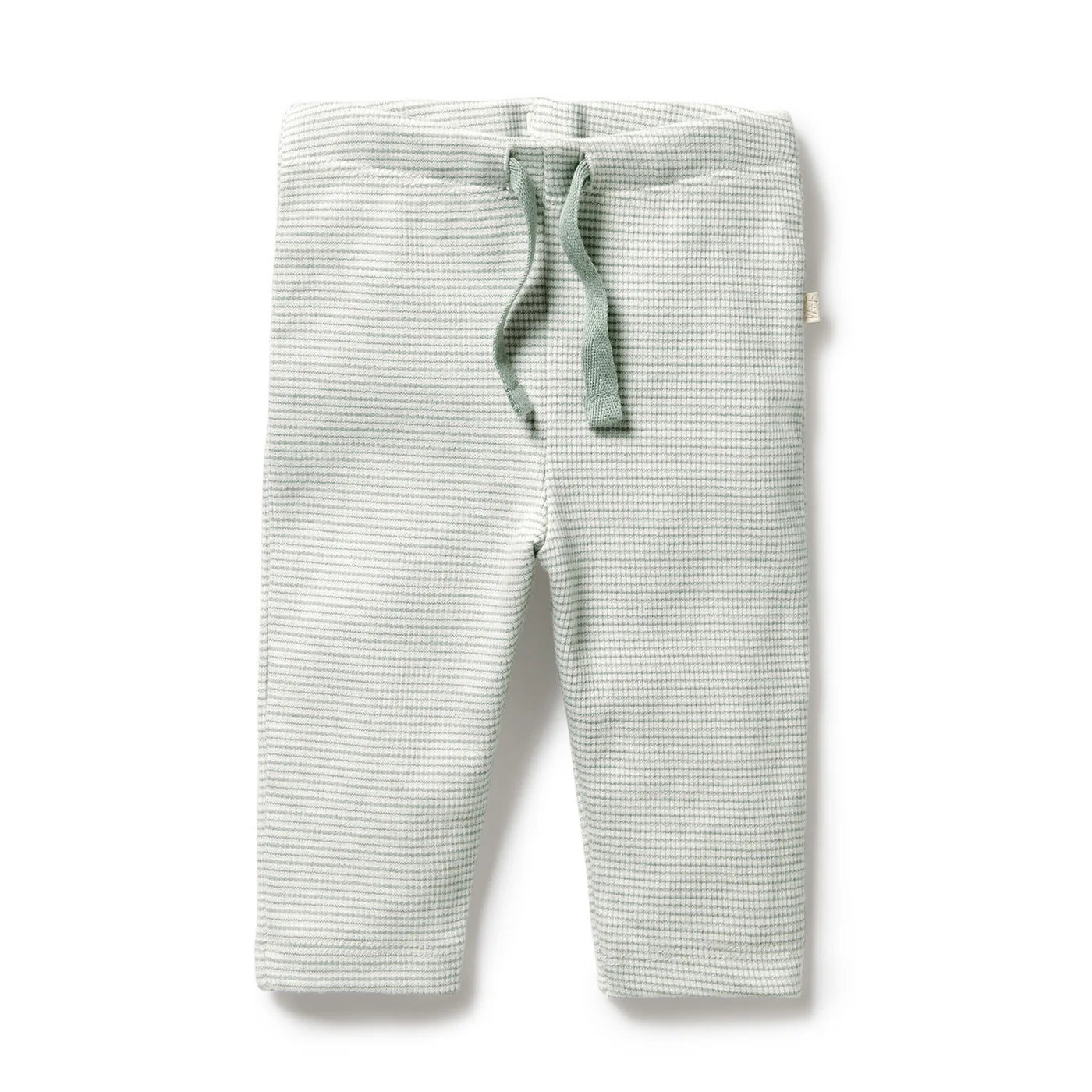 Wilson & Frenchy Organic Stripe Rib Legging - Fern