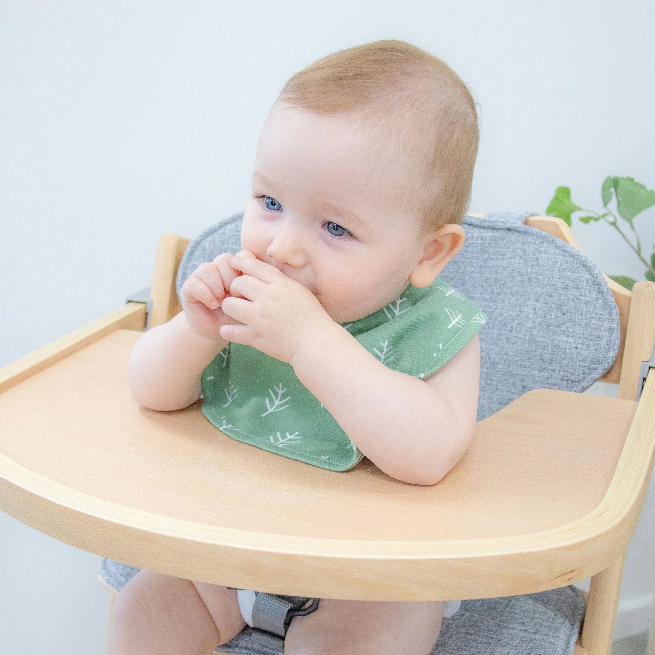 Bubba Blue Nordic Dribble Bib 2pack Avocado/Forest